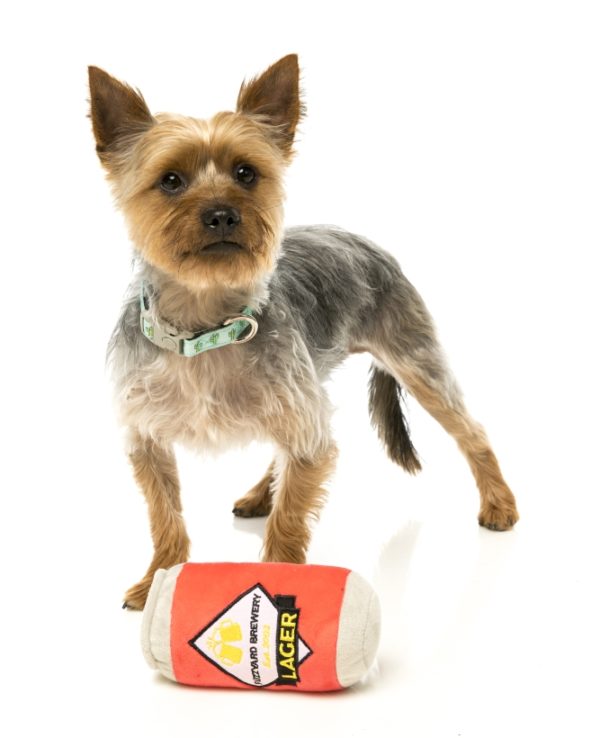 FuzzYard-Hundespielzeug-Bierdose-mit-yorkshire-terrier