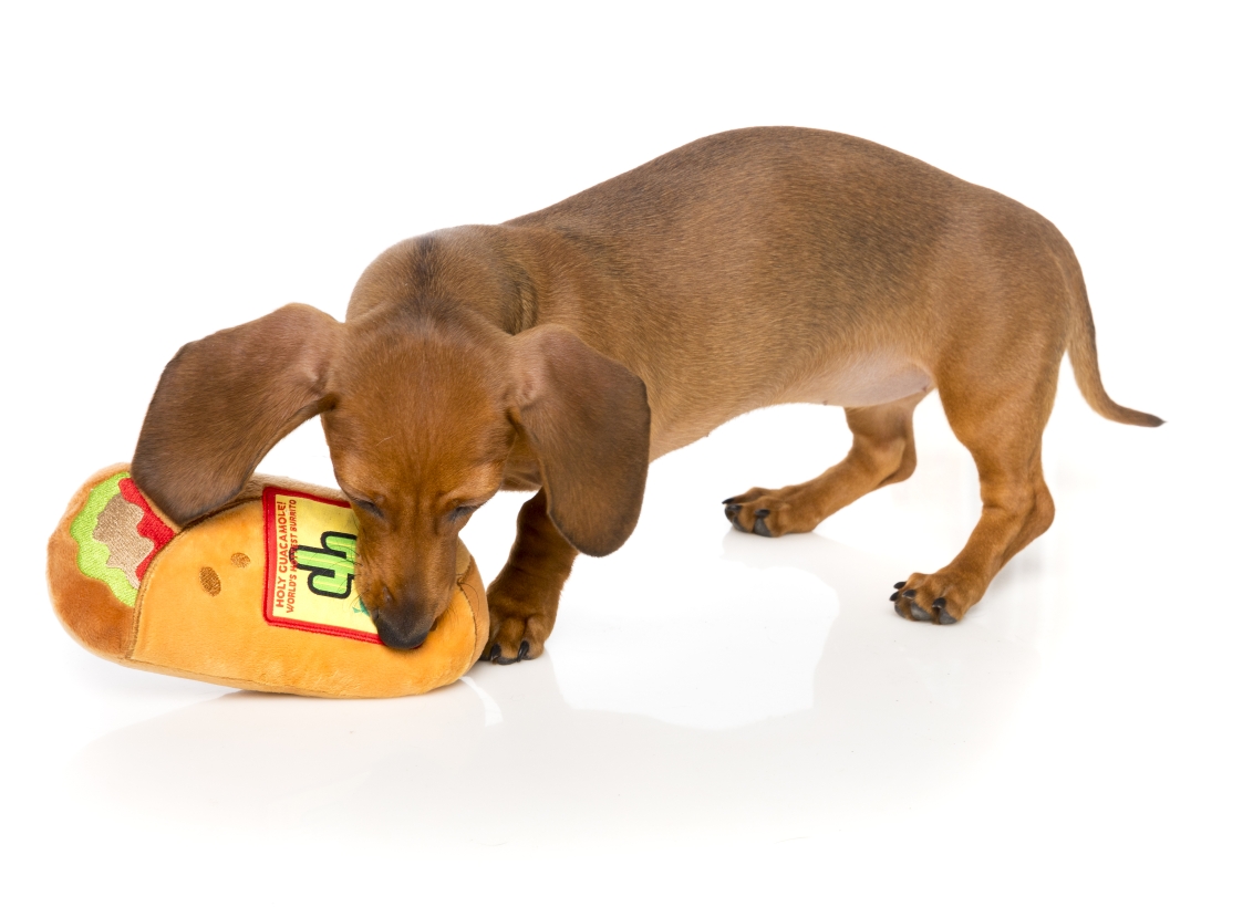 FuzzYard-Hundespielzeug-Burrito-mit-dackel