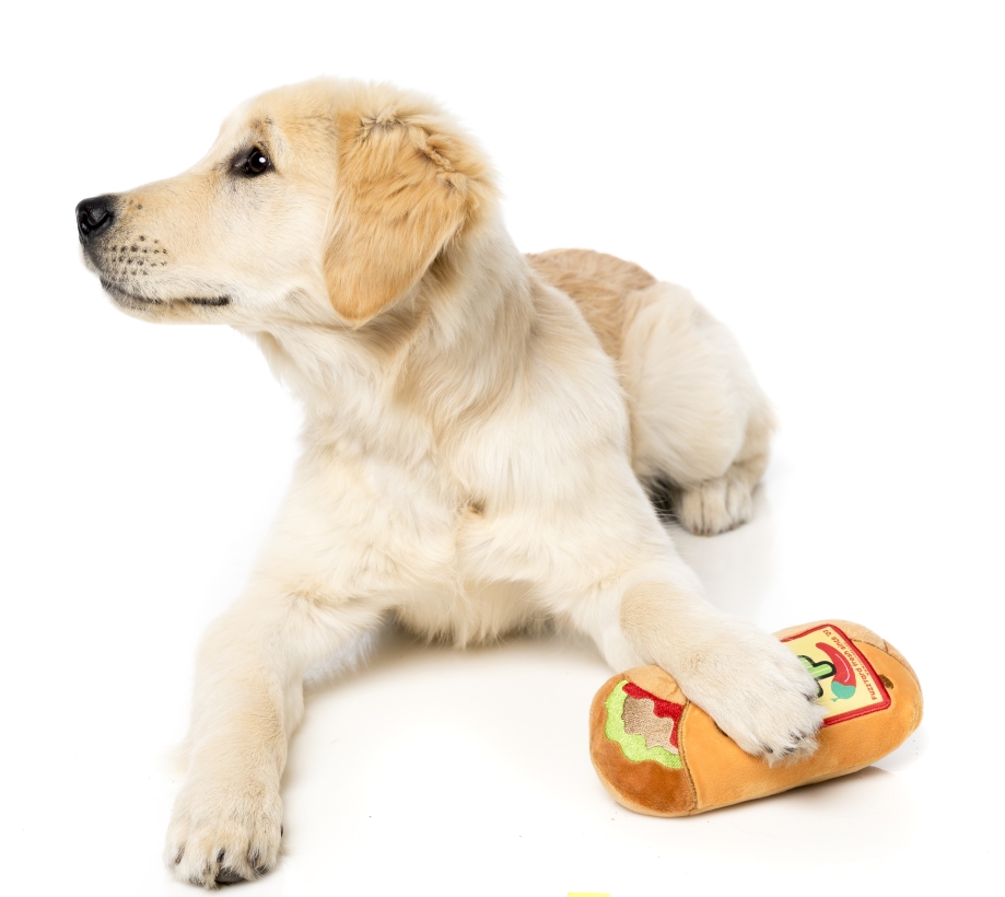 FuzzYard-Hundespielzeug-Burrito-mit-golden-retriever-welpe-2