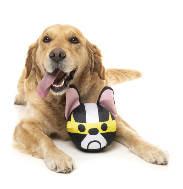 FuzzYard-Hundespielzeug-Doggoforce-Dash-mit-golden-retriever