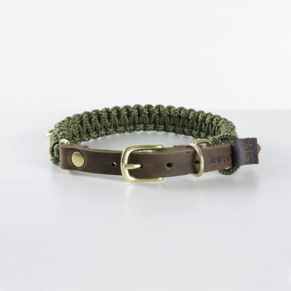 Molly-Stitch-Halsband-Touch-of-Leather-Military-Gold-Rückseite