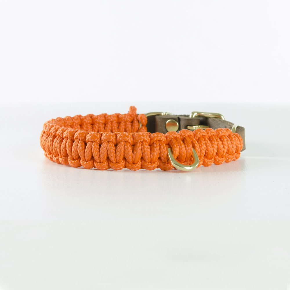 Molly-Stitch-Halsband-Touch-of-Leather-Pumpkin-Gold-Front