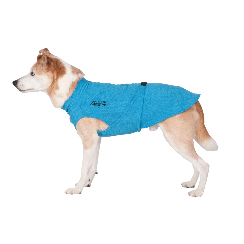 Chilly-Dogs-Bademantel-soaker-robe-Blau-Hund-Seitenansicht