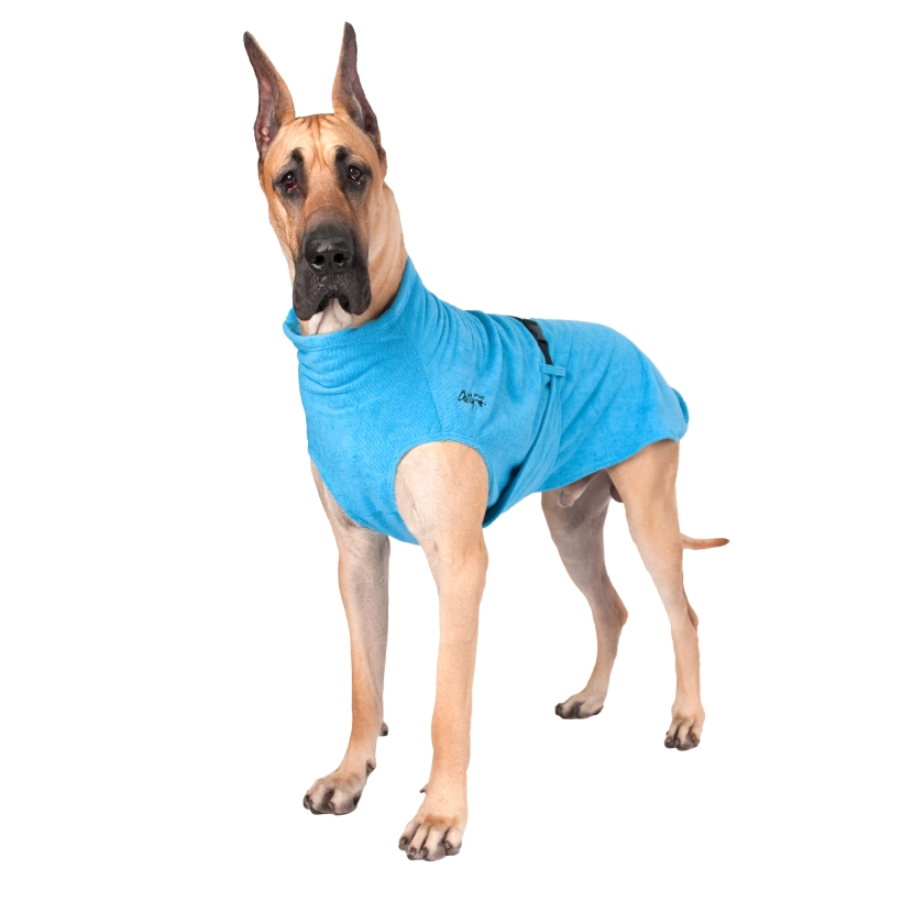 Chilly-Dogs-Bademantel-soaker-robe-Blau-deutsche-dogge-frontansicht