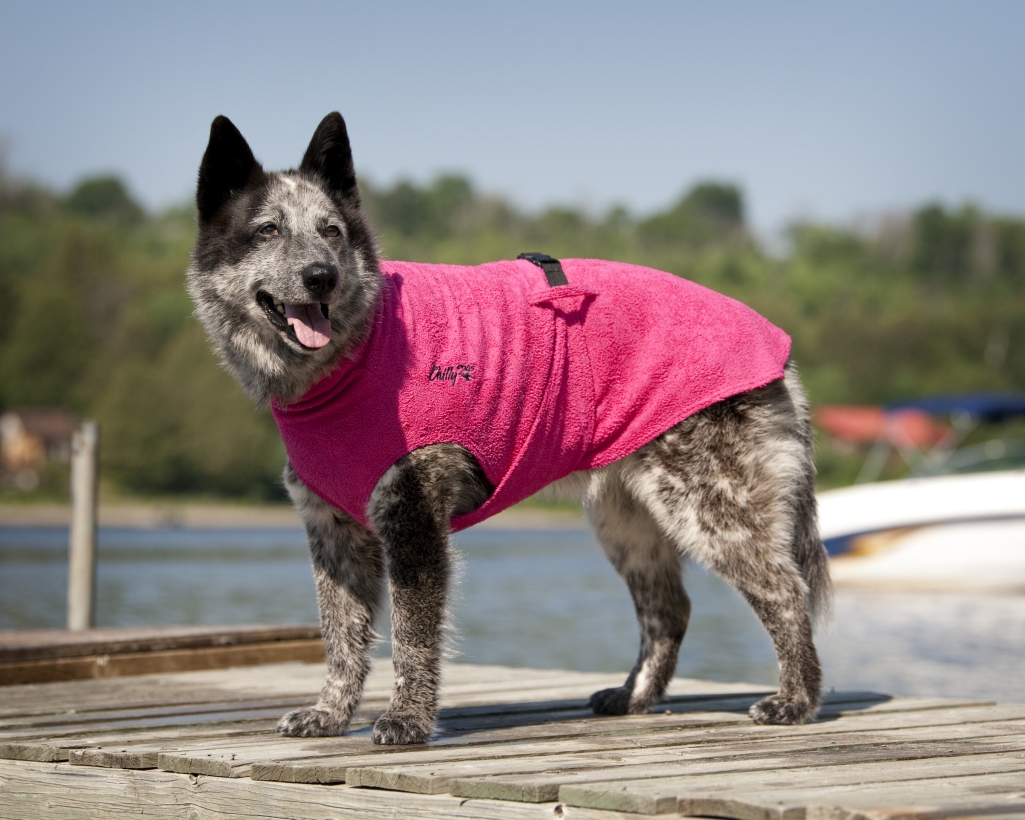 Chilly-Dogs-Bademantel-soaker-robe-Pink-hund-am-steg