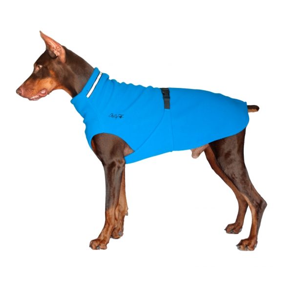 Chilly-Dogs-Chilly-Sweater-Blau-Seitenansicht-auf-Hund2