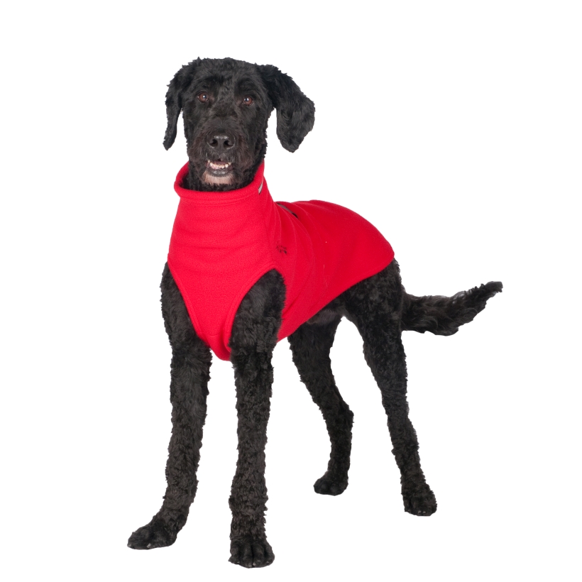 Chilly-Dogs-Chilly-Sweater-Rot-Frontansicht-auf-Pudel