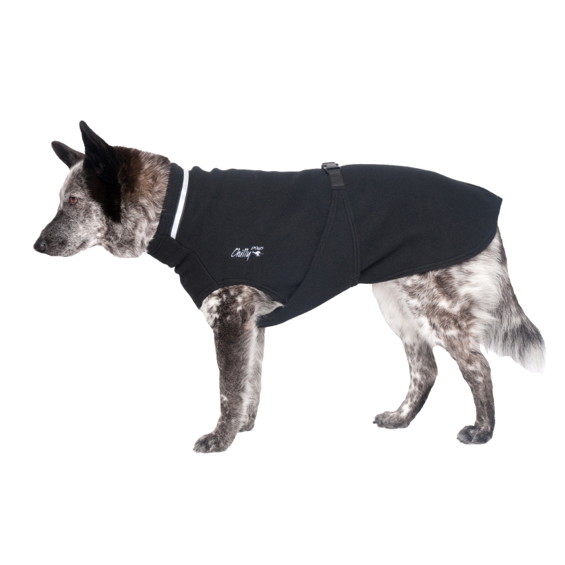 Chilly-Dogs-Chilly-Sweater-Schwarz-Seitenansicht-auf-Hund