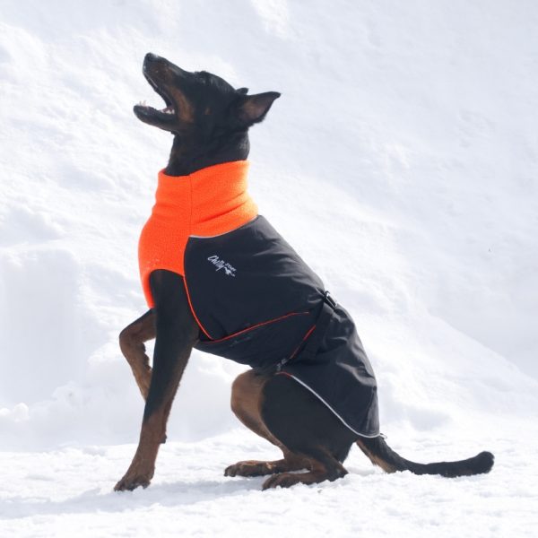 Chilly-Dogs-Great-White-North-Mantel-Orange-Schwarz-Hund-im-Schnee-Seitenansicht
