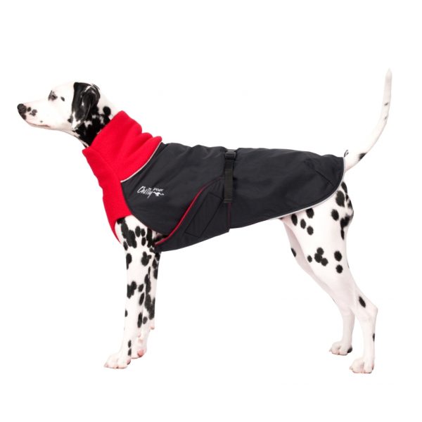 Chilly-Dogs-Great-White-North-Mantel-Rot-Schwarz-Dalmatiner-Seitenansicht