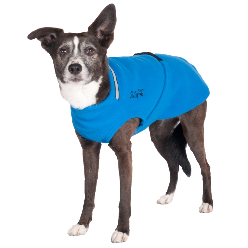 Chilly-Dogs-Chilly-Sweater-Blau-Frontansicht-auf-Hund